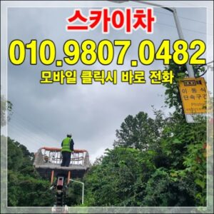 Read more about the article 고양시·일산 굴절스카이 작업 사례 + 비용 가이드